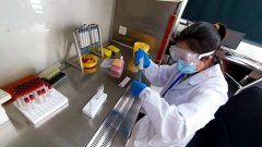 同窗们有条有理地列队打饭、就